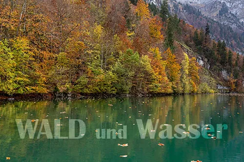 restaurant-bergli-glarus-symbiose