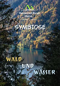 bergli-symbiose-flyer-infos-folgen